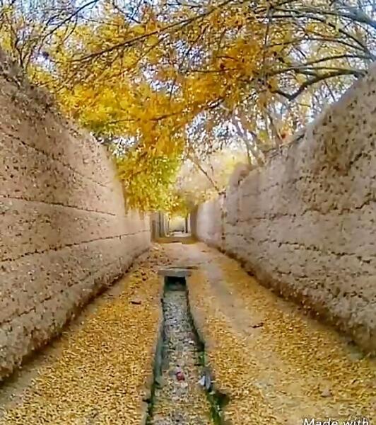 عکس پروفایل صبح پاییزی
