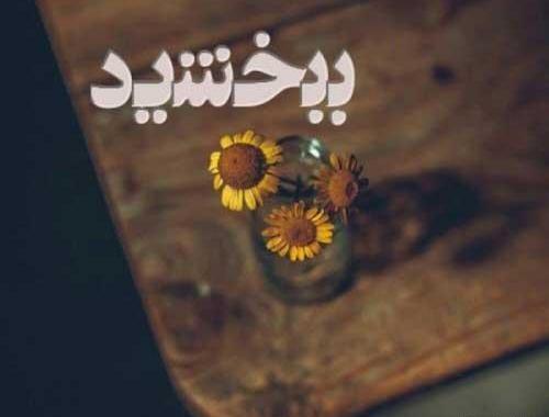 عکس معذرت میخوام عشقم