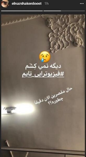 عکس نوشته الناز شاکردوست