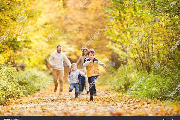 عکس پیاده روی پاییز