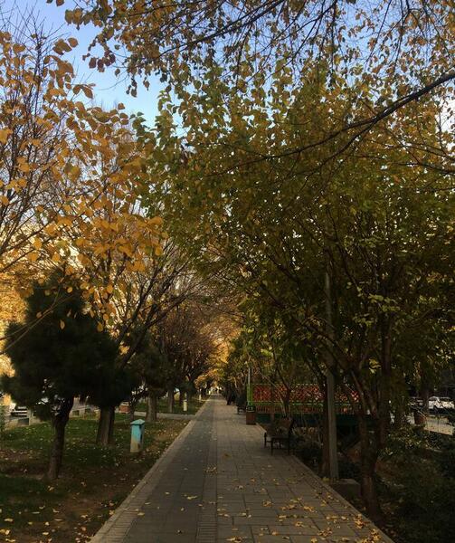 عکس پیاده روی پاییز
