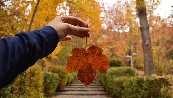 عکس پیاده روی پاییز