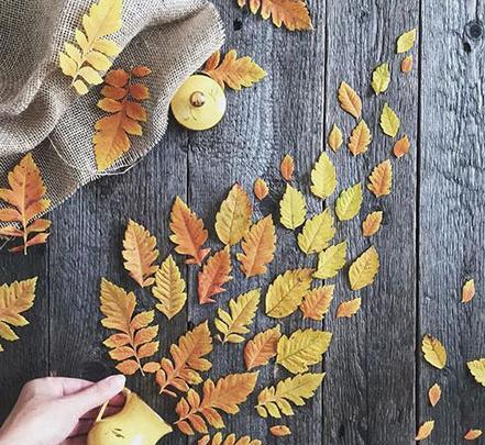 عکس پروفایل گل پاییز