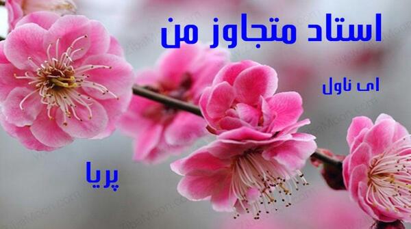 عکس آیسان در رمان استاد متجاوز من