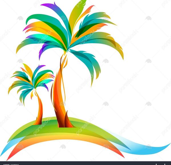 عکس لایه باز نخل