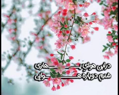 عکس بهار نزدیکه