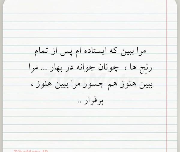عکس نوشته ایستاده ها