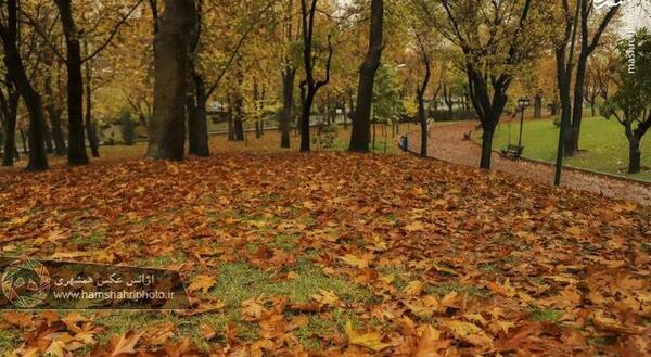 عکس پروفایل پاییز تهران