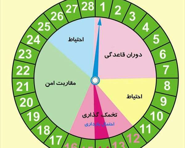 عکس ماشین حساب تخمک گذاری