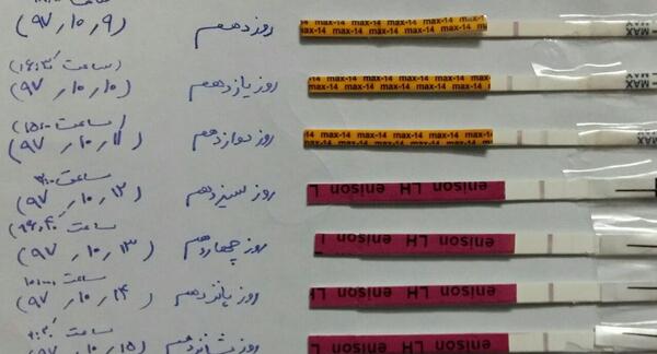عکس ماشین حساب تخمک گذاری