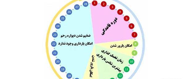 عکس ماشین حساب تخمک گذاری
