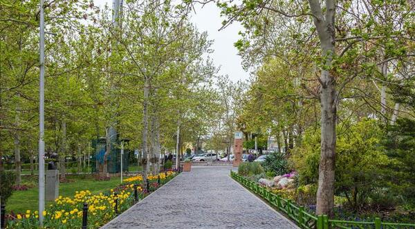 عکس از پیاده روی در پارک