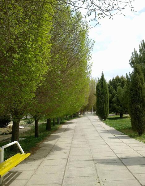 عکس از پیاده روی در پارک