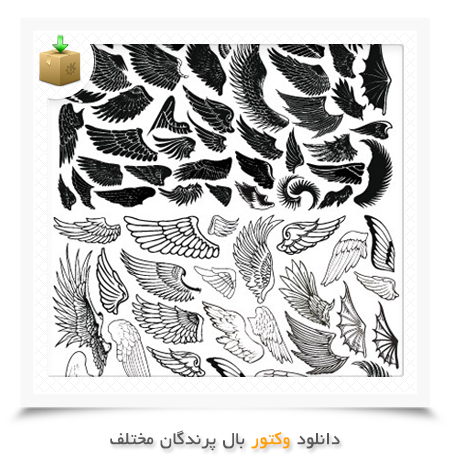 عکس دانلود وکتور بال