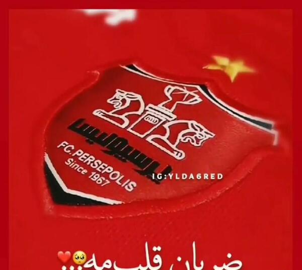 عکس برای استوری برد پرسپولیس