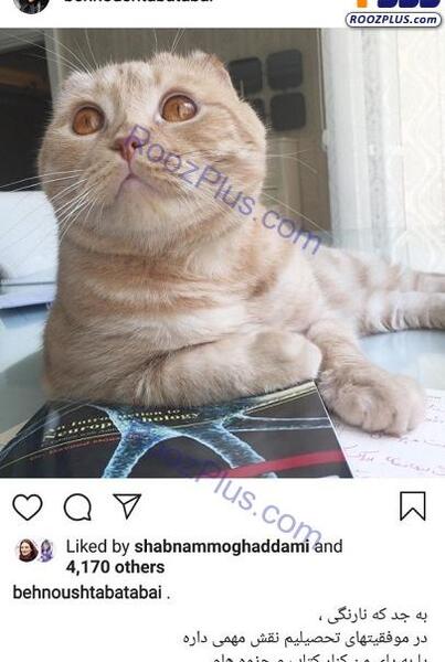 عکس های گربه بهنوش طباطبایی