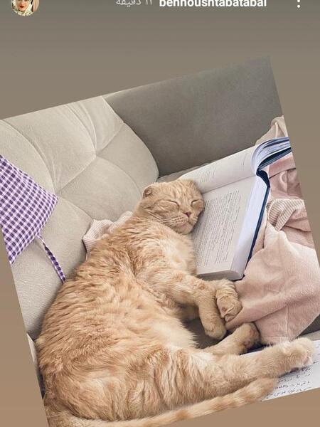 عکس های گربه بهنوش طباطبایی