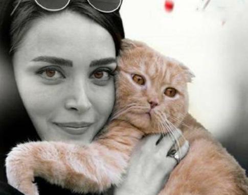 عکس های گربه بهنوش طباطبایی