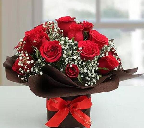 عکس گل رز هندی