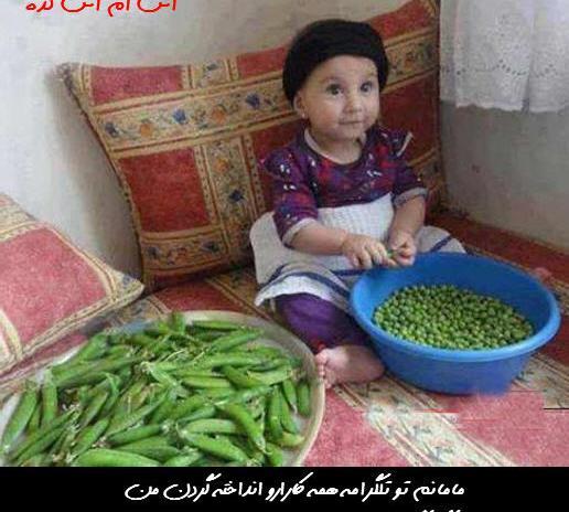 عکس نوشته شوهر میخوام