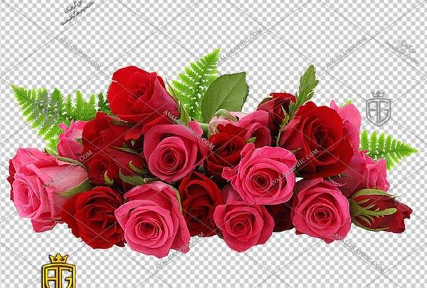 عکس png گل رز