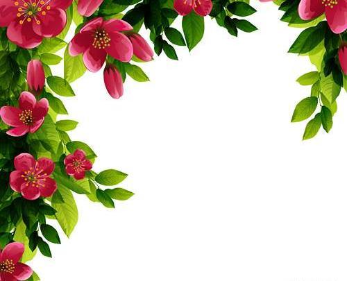 عکس پس زمینه حاشیه دار