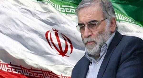 عکس سردار فخری زاده