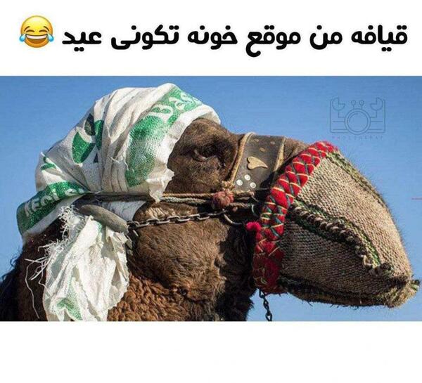 عکس برای وضعیت واتساپ جدید خنده دار