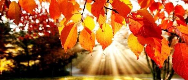 عکس های زیبای پاییزی عاشقانه