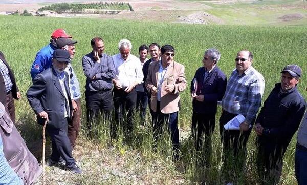 عکس روستای قره شیران