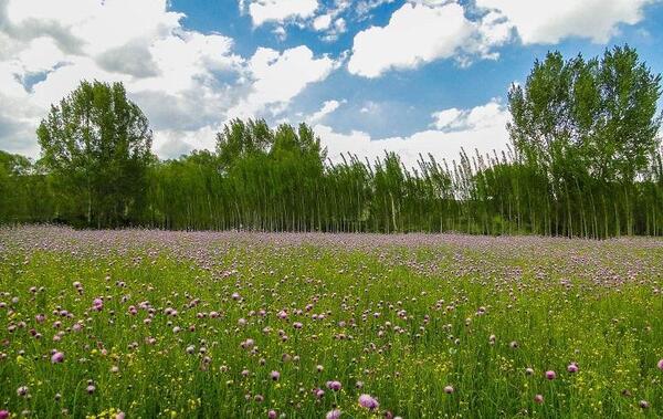عکس روستای قره شیران