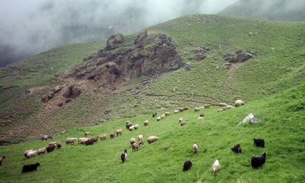 عکس روستای قره شیران