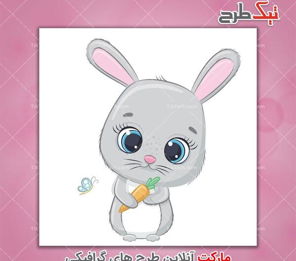 عکس خام خرگوش
