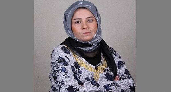 عکس هایی از ساقی زینتی