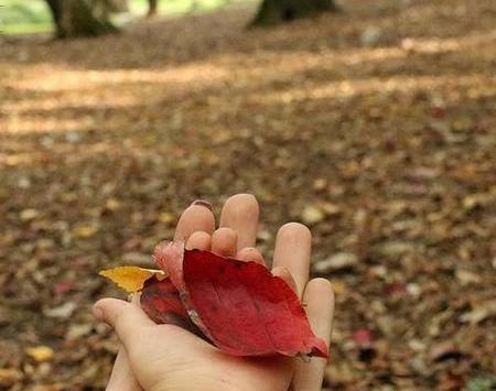 عکس پروفایل پاییز دونفره