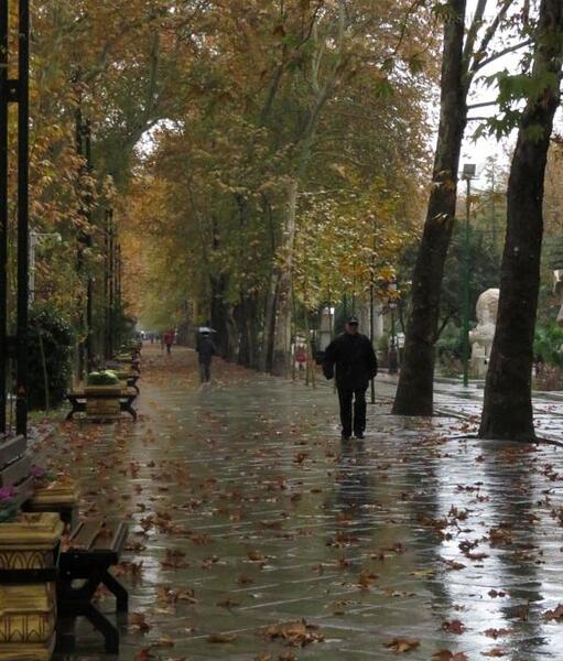 عکس پاییز خیابان ولیعصر