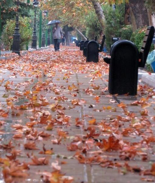 عکس پاییز خیابان ولیعصر
