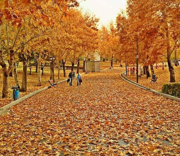عکس پاییز خیابان ولیعصر