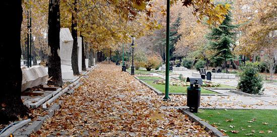 عکس پاییز خیابان ولیعصر