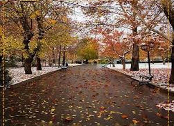 عکس پاییز خیابان ولیعصر