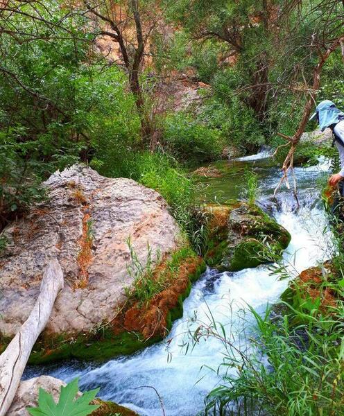 عکس واقعی طبیعت ایران
