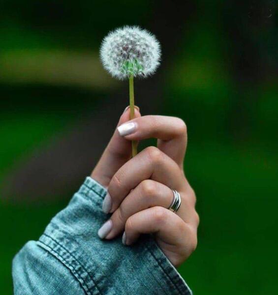 عکس اینستاگرام برای پروفایل