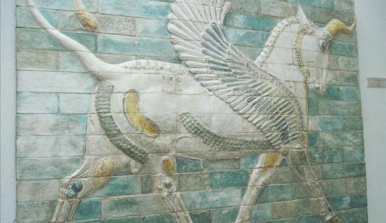 عکس ملکه ناپیراسو