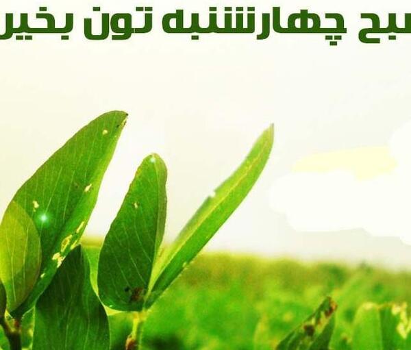 عکسهای صبح بخیر روز چهارشنبه