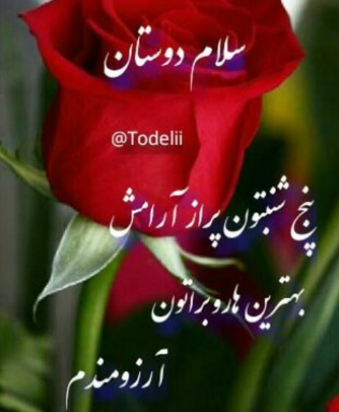 عکسهای صبح بخیر روز چهارشنبه