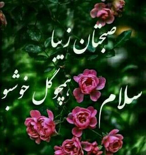 عکسهای صبح بخیر روز چهارشنبه