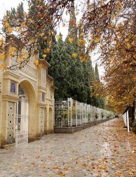 عکس پاییز خیابان ارم شیراز