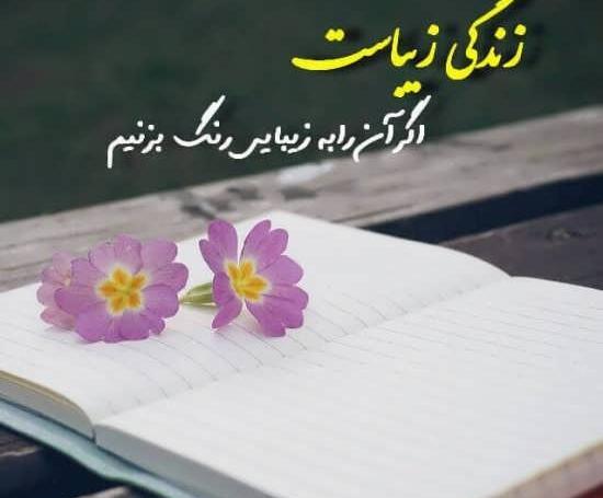 عکس پروفایل زندگی