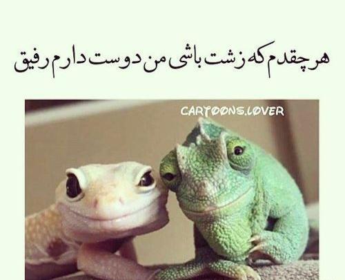 عکس پروفایل رفیق اینستاگرام