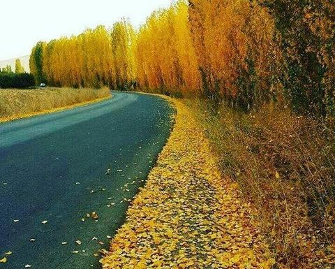 عکس پروفایل پاییز ابری